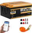 Cloudenergy LiFePO4 24V 320Ah Truck Battery