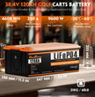 36V(38.4V) 120Ah  ABS shell Lithium Golf Cart Battery With 20A Charge