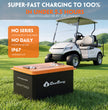 48V (51.2V) 120Ah Compact Metal Case Golf Cart Battery